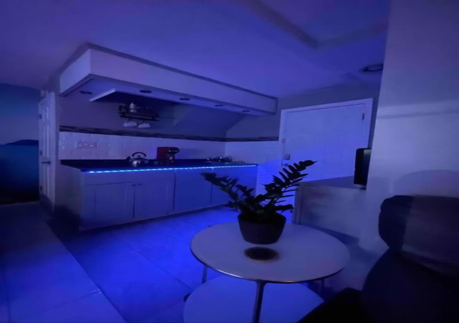 Brooklyn Spacious Space With Private Entrance, Bathroom, & Backyard - Full-Kitchen Νέα Υόρκη Εξωτερικό φωτογραφία